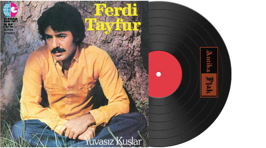 Ferdi Tayfur  - Yuvasız Kuşlar