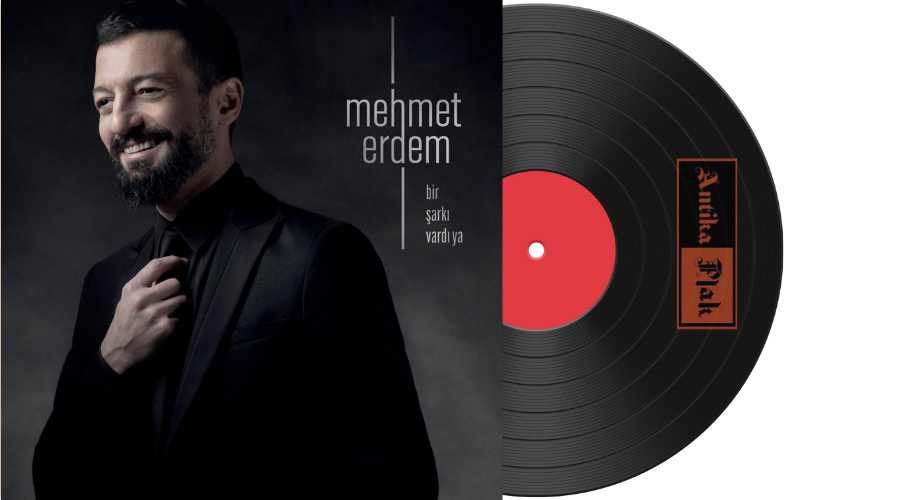 Mehmet Erdem  - Bir Şarkı Vardı Ya